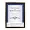 Basics 8.5" x 11" Black & Gold Multipurpose Document Frame by Studio Décor®
